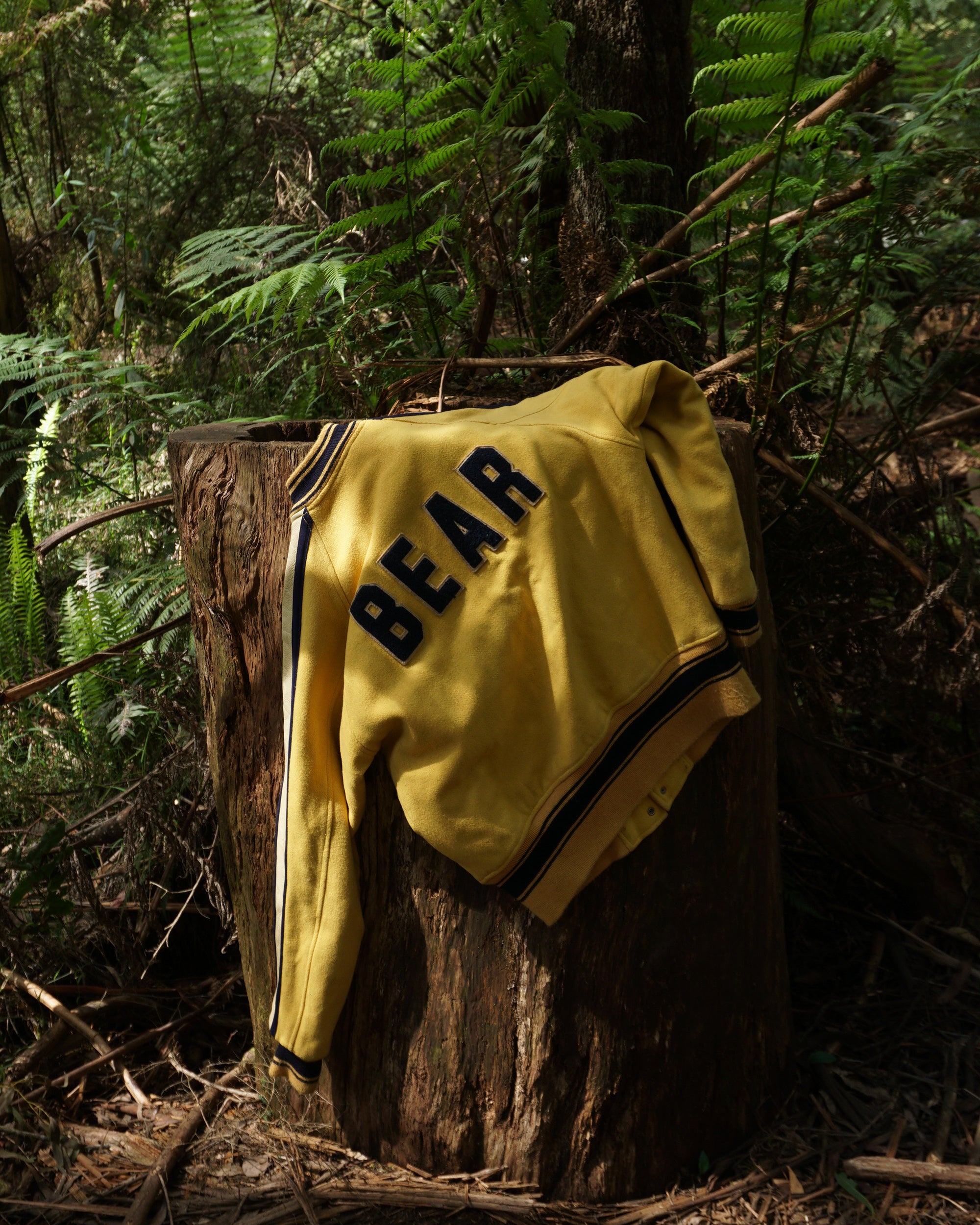 BEAR  Yellow Wool+Leather Varsity Jacket